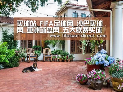 客户案例标题九