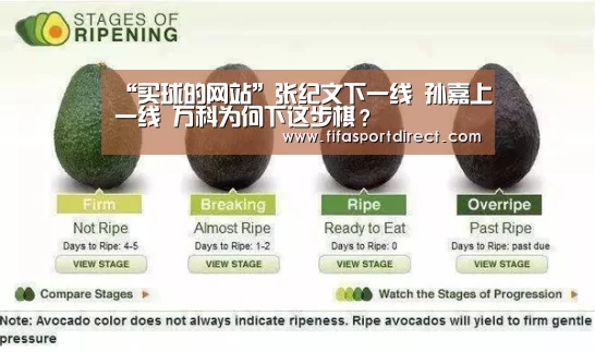 “买球的网站”张纪文下一线 孙嘉上一线 万科为何下这步棋?(图1) 买球站