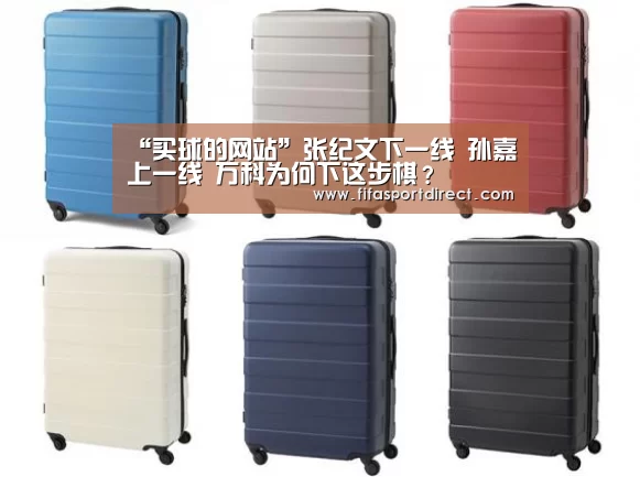 “买球的网站”张纪文下一线 孙嘉上一线 万科为何下这步棋?(图4) 买球网官网