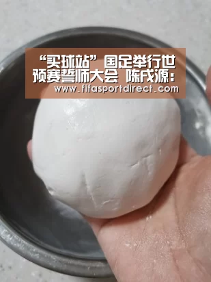 “买球站”国足举行世预赛誓师大会 陈戌源:信任里皮!祝成功(图1) 买球的网站