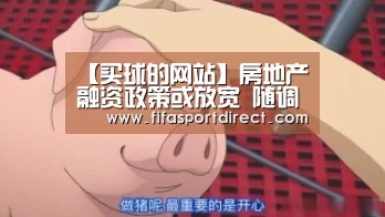 买球站官网