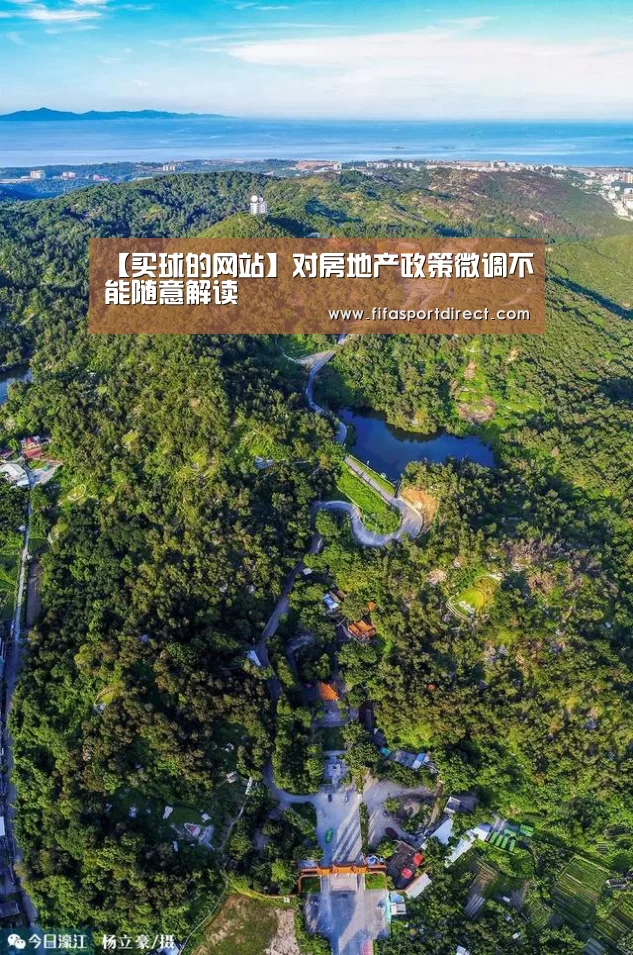 【买球的网站】对房地产政策微调不能随意解读(图4) 买球网官网
