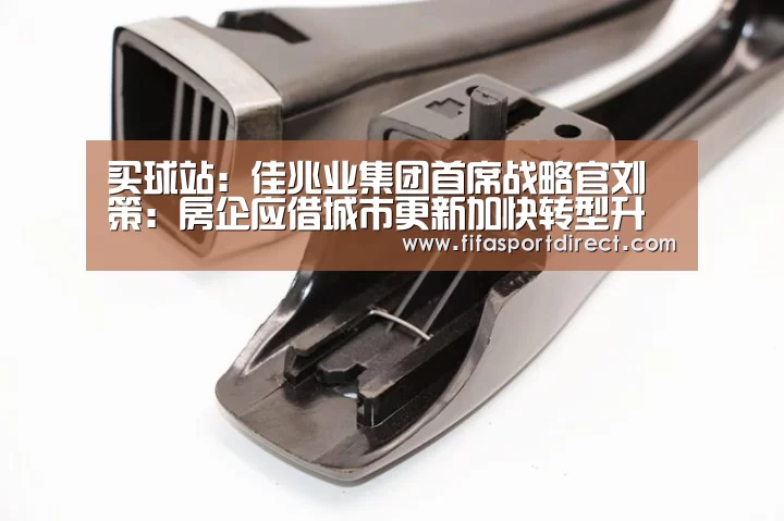 买球站:佳兆业集团首席战略官刘策:房企应借城市更新加快转型升级(图2) 买球的网站