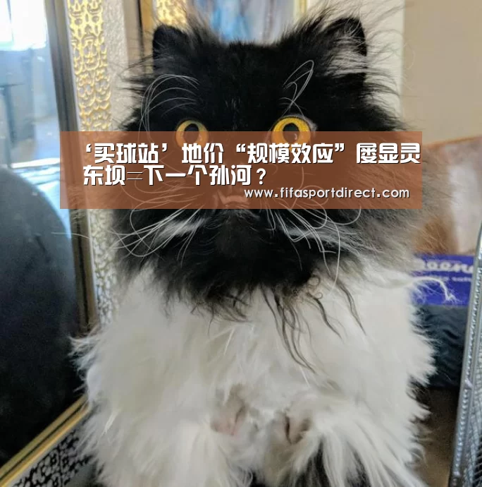 ‘买球站’地价“规模效应”屡显灵 东坝=下一个孙河?(图2) 买球站官网