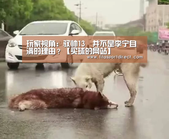 玩家视角:驭帅13䨻并不是李宁自满的理由?【买球的网站】(图2) 买球站官网